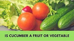 Is cucumber fruit or vegetable? Facts Highlighted