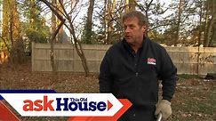 How to Remove Tree Stumps | Ask This Old House