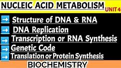 structure of dna and rna and their functions || DNA Replication || Translation || Transcription ||