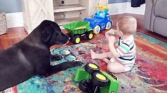Baby and Dog Funny Fails - Funny Baby Video