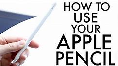 How To Use Your Apple Pencil! (Complete Beginners Guide)