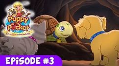 Puppy In My Pocket "Adventures In Pocketville" Ep 3 "Evershell The Wise"