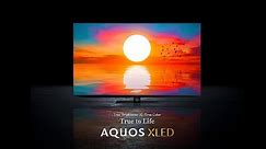Sharp AQUOS XLED TV. Enjoy True To Life Brightness And Color!