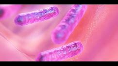 Naturalne "leczenie" Helicobacter pylorii to pseudonauka i praktyka znachorska