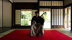 Tsugaru Shamisen (using Ripple) - Tsugaru Jongara-bushi Kyokubiki - 津軽三味線（リプル張り） 津軽じょんがら節曲弾