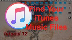 Find My Music in iTunes 12.4 on the computer | Tutorial 12