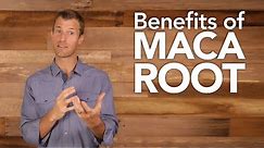 Benefits of Maca Root | Dr. Josh Axe