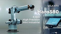 Robotic Arm Redefined: Meet the Haro380 - High Precision 6-Axis Mini Industrial