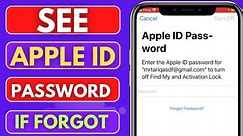 How To See Apple ID Password If Forgot 2024|iPhone|How To Reset Apple ID Password On iPed