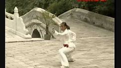 Ying Zhao Quan (eagle claw) Wushu competition form