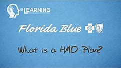 What is a HMO Plan?