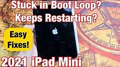 2021 iPad Mini: Stuck in Boot Loop? Constantly Keeps Restarting? Easy Fixes!