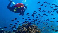 PH is Asia Pacific’s Best Dive Destination in 2023 Travel Weekly Asia Awards