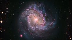 Zoom into Spiral Galaxy M83