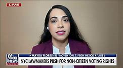 Legal immigrant rips NYC for considering voting rights for noncitizens: 'Being an American citizen is a privilege'