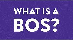 What is a Business Operating System?