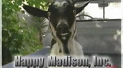 Happy Madison | Title Card | 1996