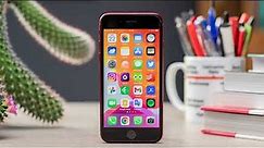 iPhone SE 4: Everything you need to know about Apple’s next budget phone