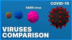 Viruses Size Comparison 2K (3D) • 2020