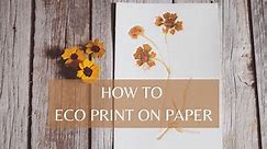 HOW TO ECO PRINT ON PAPER | THE SECRET TO CLEAR PRINTS | BOTANICAL PRINTING | NATURAL DYE