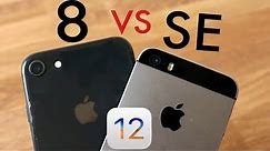 iPHONE 8 Vs iPHONE SE On iOS 12! (Comparison) (Review)