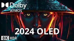 SPECIAL Oled Demo 2024, 8K HDR 240 FPS Dolby ATMOS/VISION!