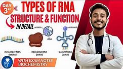 rna structure biochemistry | types of rna biochemistry | function of rna biochemistry