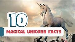 10 Magical Unicorn Facts