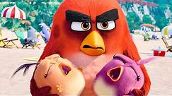 THE ANGRY BIRDS MOVIE 2 - First 8 Minutes From The Movie (2019)