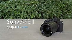 Sony a7S III overview
