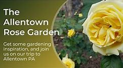 Allentown Rose Garden