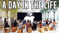 Apple Headquarters: A Day In The Life Inside The $5 Billion Office