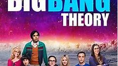 The Big Bang Theory: Season 11 Episode 10 The Confidence Erosion