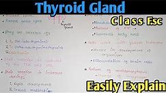 Thyroid Gland Hormones, Structure And Functions | Class 12 Biology