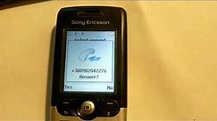 Sony Ericsson T610 incoming call
