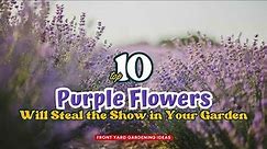 10 Purple Flowers That Will Steal the Show in Your Garden 💐🌷👍