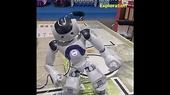 NAO Humanoid Robot - Test and Exploration