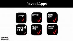 Reveal Mobile Apps