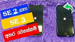 iphone se2 vs se3 sinhala / iphone prices in sri lanka 2024 / 2024 budget phone sri lanka