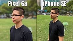 Pixel 6a vs iPhone SE Camera Comparison