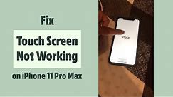 Fix Touch Screen Problems on iPhone 11 Pro Max| iPhone Touch Screen Slow or frozen Solved