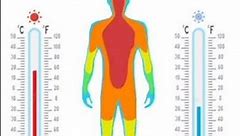 Human Body Temperature #fact