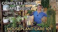 HOYA CARE Wax Plant- Hoya Watering, Lighting, Blooms, Repot, Soil, Fertilizing - Houseplant Care 101
