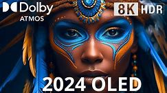 Wonderful OLED Demo 2024, 8K HDR 60FPS Dolby Vision!
