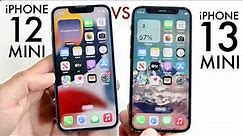iPhone 13 Mini Vs iPhone 12 Mini In 2023! (Comparison) (Review)