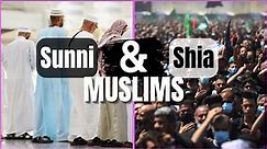 SUNNI & SHIA Muslims EXPLAINED in 7 Minutes #islam #sunni #shia