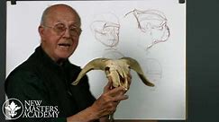 🐐 How to Draw Animals with Glenn Vilppu