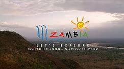 Let’s Explore Zambia - South Luangwa National Park