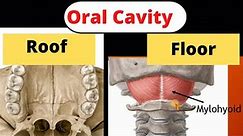 13- Anatomy of the Oral Cavity (Mylohyoid muscle and Palate).