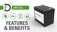 DRY CELL Traction Industrial Batteries